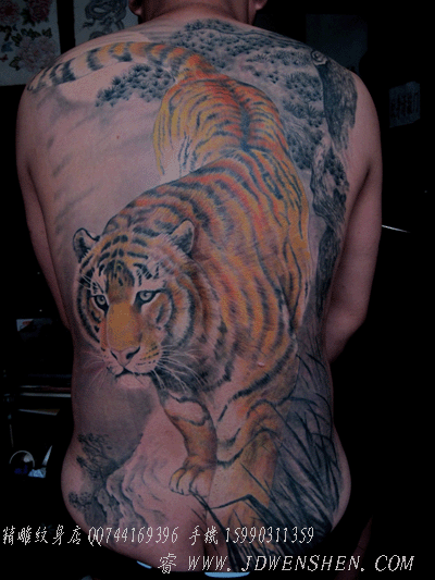 杭州精雕纹身店作品：男人后背下山虎纹身图案