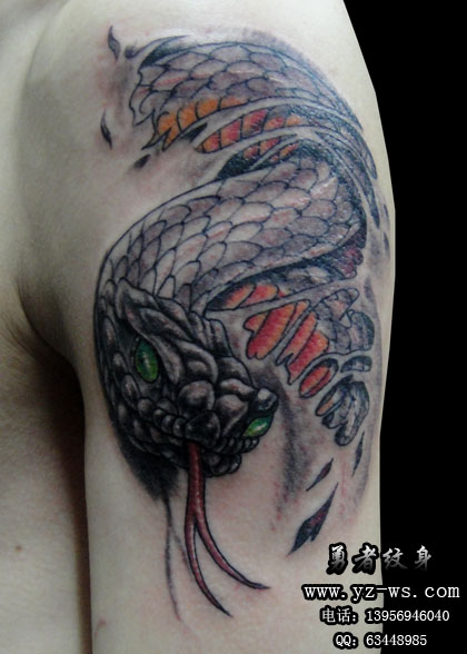 合肥勇者纹身作品：大臂蛇纹身图案