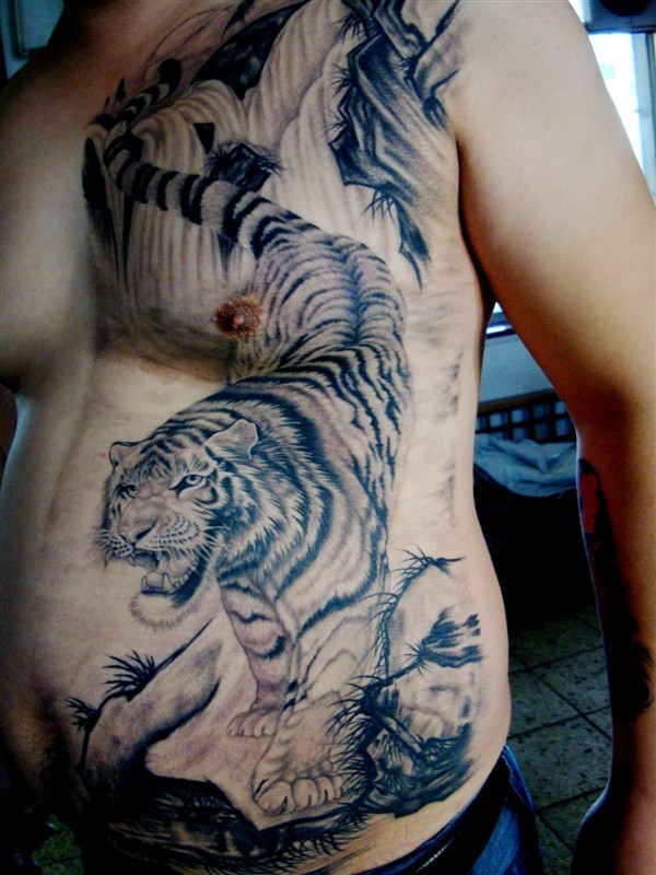 天津雕琦刺青店纹身作品：下山虎纹身图案